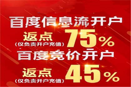 某电商平台的SEM优化案例分享